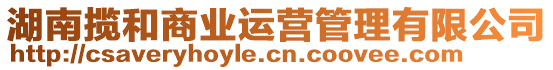 湖南攬和商業(yè)運營管理有限公司