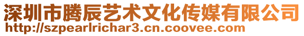 深圳市騰辰藝術(shù)文化傳媒有限公司