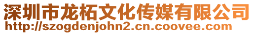 深圳市龍柘文化傳媒有限公司