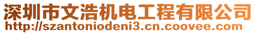 深圳市文浩機(jī)電工程有限公司