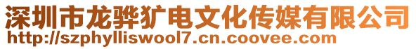 深圳市龍驊獷電文化傳媒有限公司