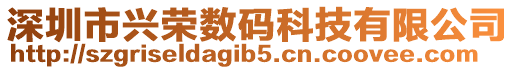 深圳市興榮數碼科技有限公司