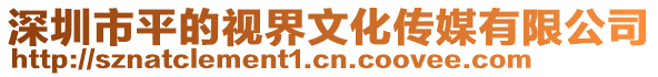 深圳市平的視界文化傳媒有限公司