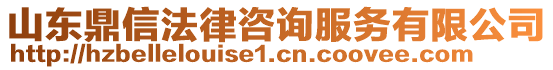 山東鼎信法律咨詢服務有限公司