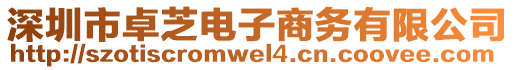 深圳市卓芝電子商務(wù)有限公司