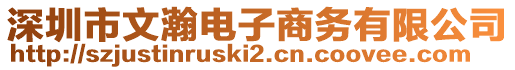 深圳市文瀚電子商務(wù)有限公司