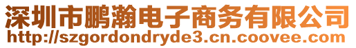 深圳市鵬瀚電子商務(wù)有限公司