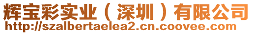 輝寶彩實(shí)業(yè)（深圳）有限公司