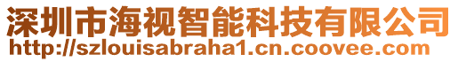 深圳市海視智能科技有限公司