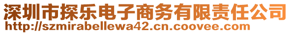 深圳市探樂電子商務(wù)有限責(zé)任公司