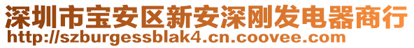 深圳市寶安區新安深剛發電器商行