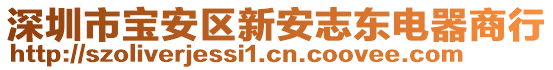 深圳市寶安區新安志東電器商行