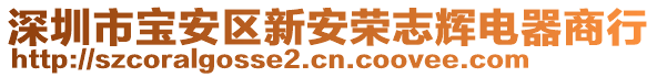 深圳市寶安區新安榮志輝電器商行