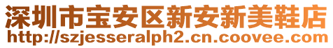 深圳市寶安區新安新美鞋店