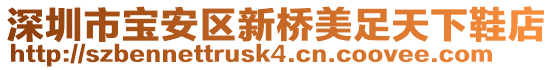 深圳市寶安區(qū)新橋美足天下鞋店