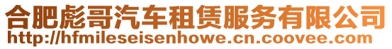 合肥彪哥汽車租賃服務(wù)有限公司