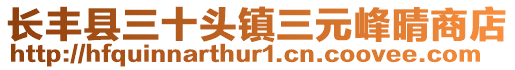 長豐縣三十頭鎮(zhèn)三元峰晴商店
