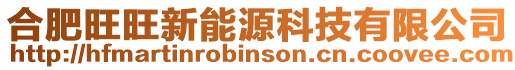 合肥旺旺新能源科技有限公司