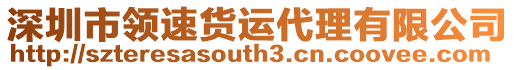 深圳市領速貨運代理有限公司