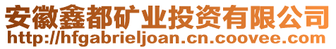 安徽鑫都礦業投資有限公司