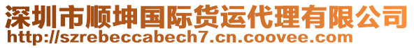 深圳市順坤國際貨運(yùn)代理有限公司