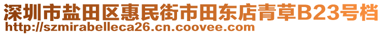 深圳市鹽田區(qū)惠民街市田東店青草B23號檔