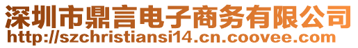 深圳市鼎言電子商務(wù)有限公司