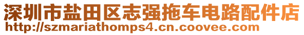 深圳市鹽田區(qū)志強(qiáng)拖車電路配件店