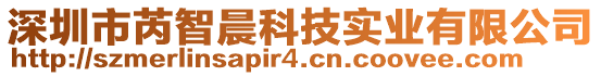 深圳市芮智晨科技實業有限公司