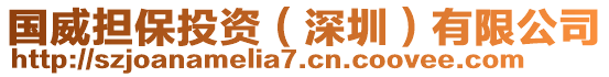 國威擔保投資（深圳）有限公司