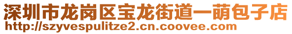 深圳市龍崗區(qū)寶龍街道一萌包子店