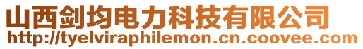 山西劍均電力科技有限公司