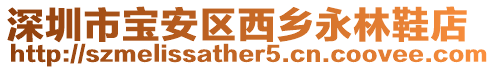 深圳市寶安區西鄉永林鞋店