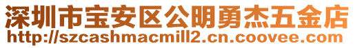 深圳市寶安區公明勇杰五金店