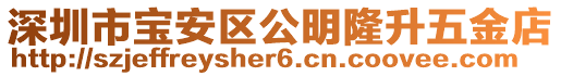 深圳市寶安區公明隆升五金店