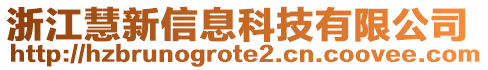 浙江慧新信息科技有限公司