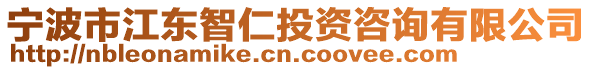 寧波市江東智仁投資咨詢有限公司