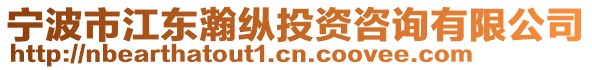 寧波市江東瀚縱投資咨詢有限公司