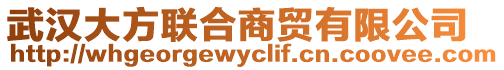 武漢大方聯(lián)合商貿(mào)有限公司