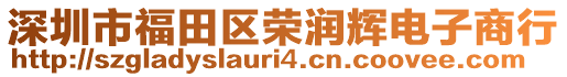 深圳市福田區(qū)榮潤(rùn)輝電子商行