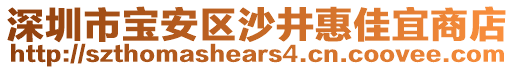 深圳市寶安區(qū)沙井惠佳宜商店