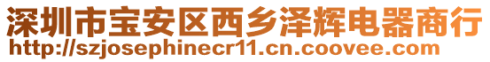 深圳市寶安區(qū)西鄉(xiāng)澤輝電器商行