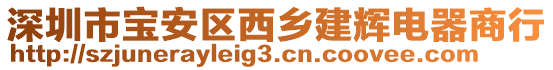 深圳市寶安區(qū)西鄉(xiāng)建輝電器商行