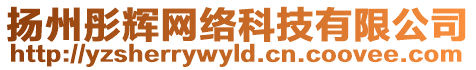 揚(yáng)州彤輝網(wǎng)絡(luò)科技有限公司