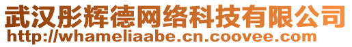 武漢彤輝德網(wǎng)絡(luò)科技有限公司