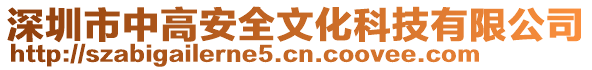 深圳市中高安全文化科技有限公司