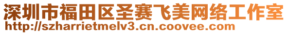 深圳市福田區(qū)圣賽飛美網(wǎng)絡(luò)工作室