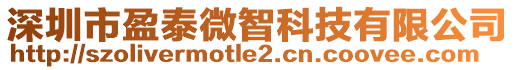 深圳市盈泰微智科技有限公司