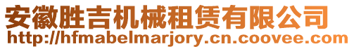 安徽勝吉機(jī)械租賃有限公司