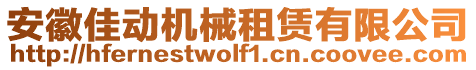 安徽佳動(dòng)機(jī)械租賃有限公司